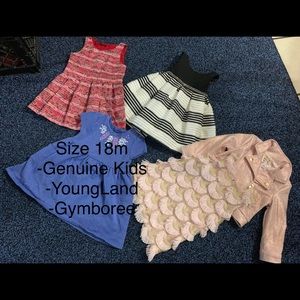 Lot of 5 dresses 18 months